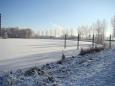 DSC01554