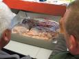 IMG 5185