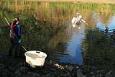 IMG 0597a