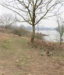 Oever van de IJssel opgeschoond