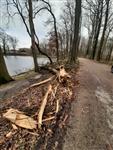 Stormschade op Biljoen