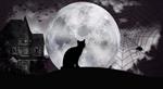 Halloween 25 oktober 2025